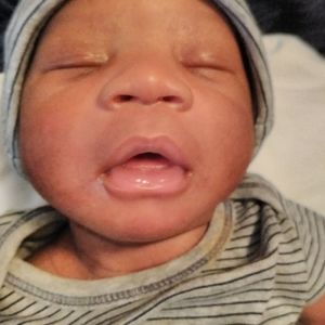 Meet your Posher, Kookie